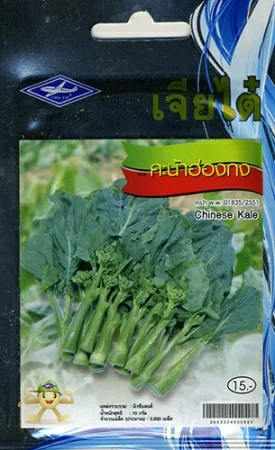 картинка Китайская брокколи Kai-Lan от магазина ThFlora
