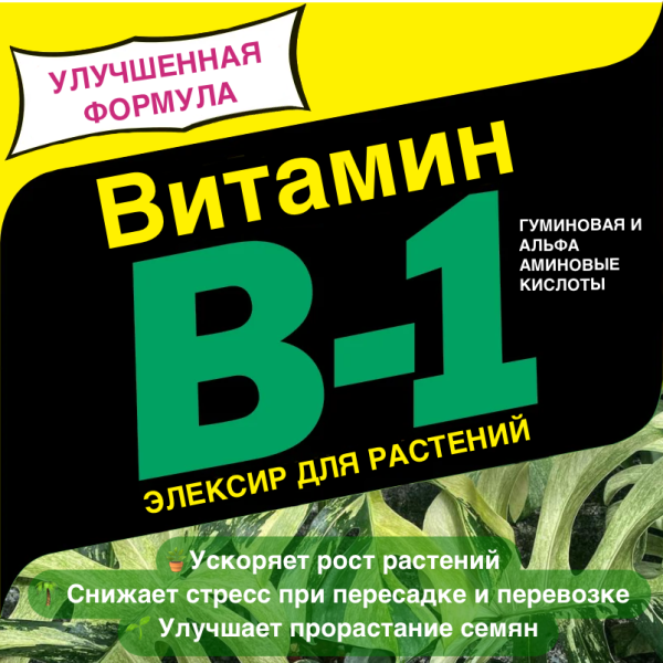 картинка Стимулятор B-1 Старт новая формула 5 мл   от магазина ThFlora